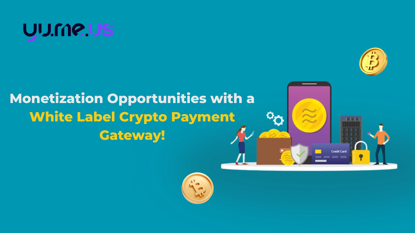Monetization Opportunities with a White Label Crypto Payment Gateway!