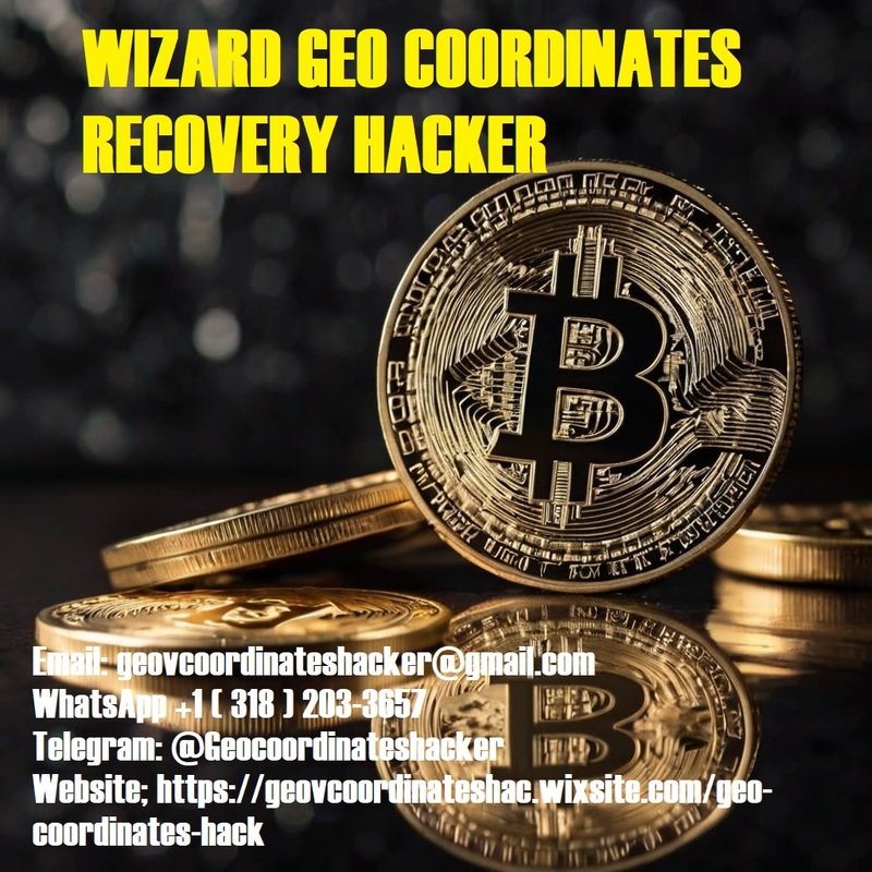 HIRE A LICENSED BITCOIN RECOVERY SPECIALIST 